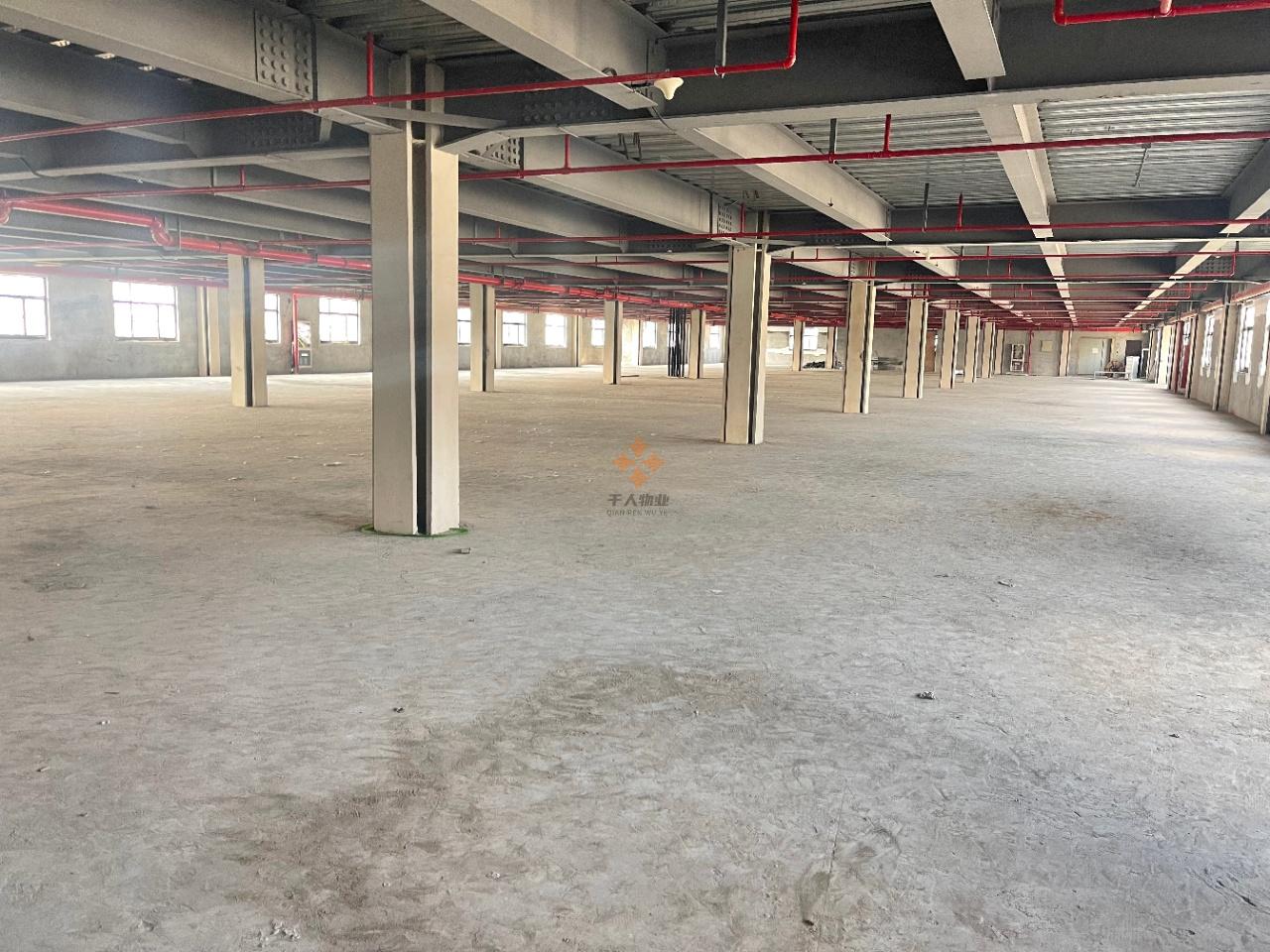  復旦大學 國家大學科技園創新創業基地 3000平米 毛坯