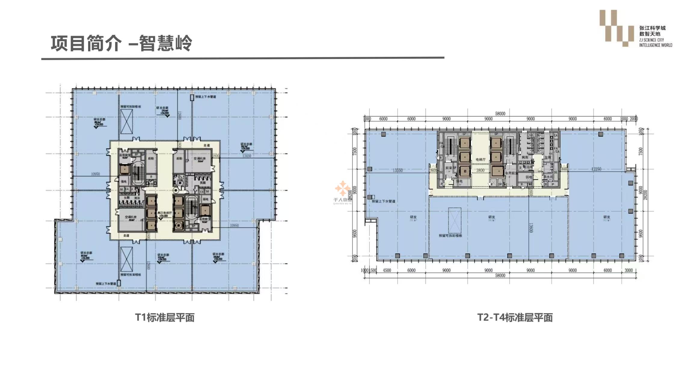 浦東 張江科學城數智天地·智慧嶺 2500平米 簡裝