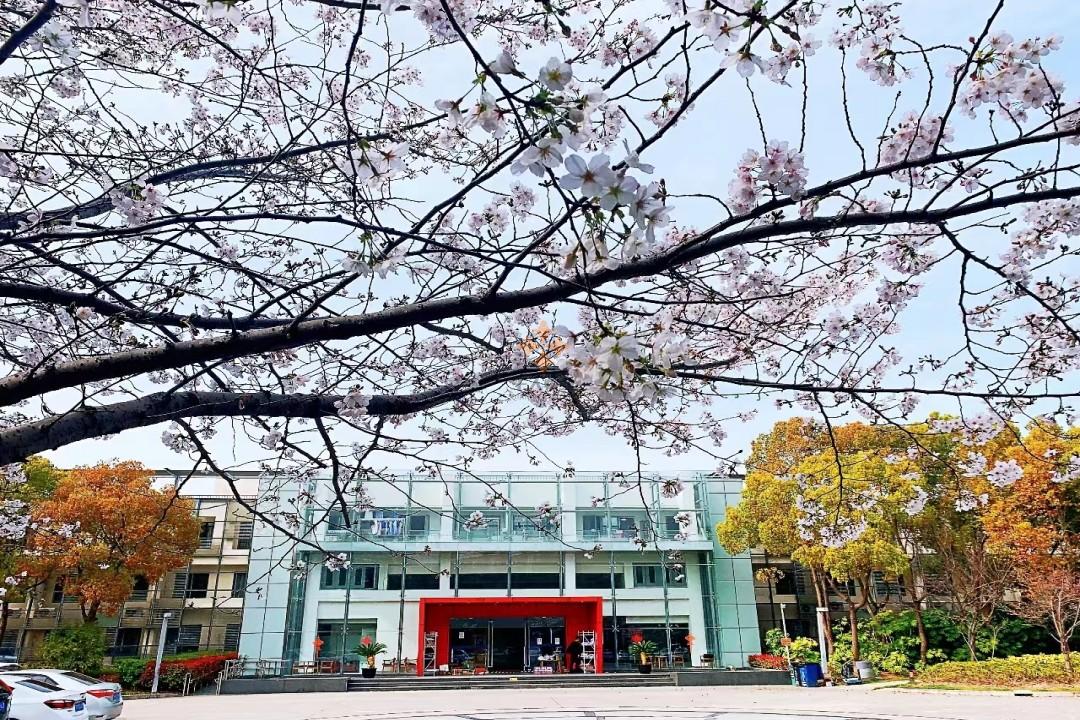 盛創(chuàng)中心-張江科學(xué)城園區(qū)，與浦東軟件園隔街相望