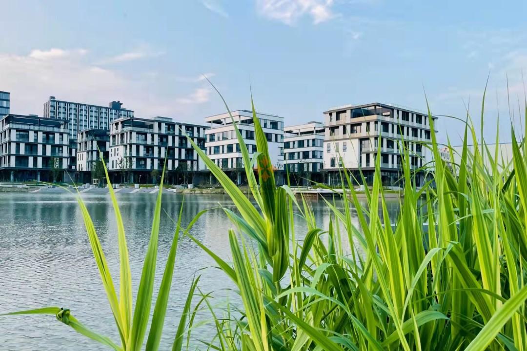 青浦 移動智地 20平米 簡裝