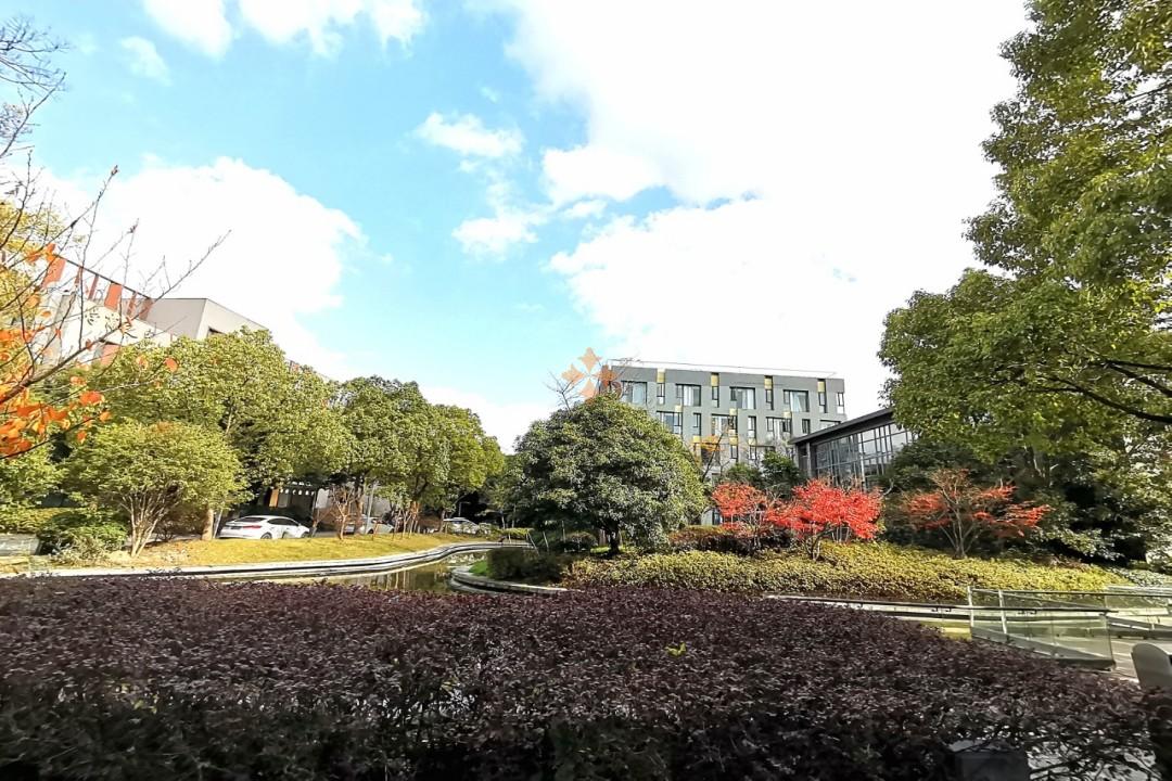 浦東 創研智造 80平米 精裝