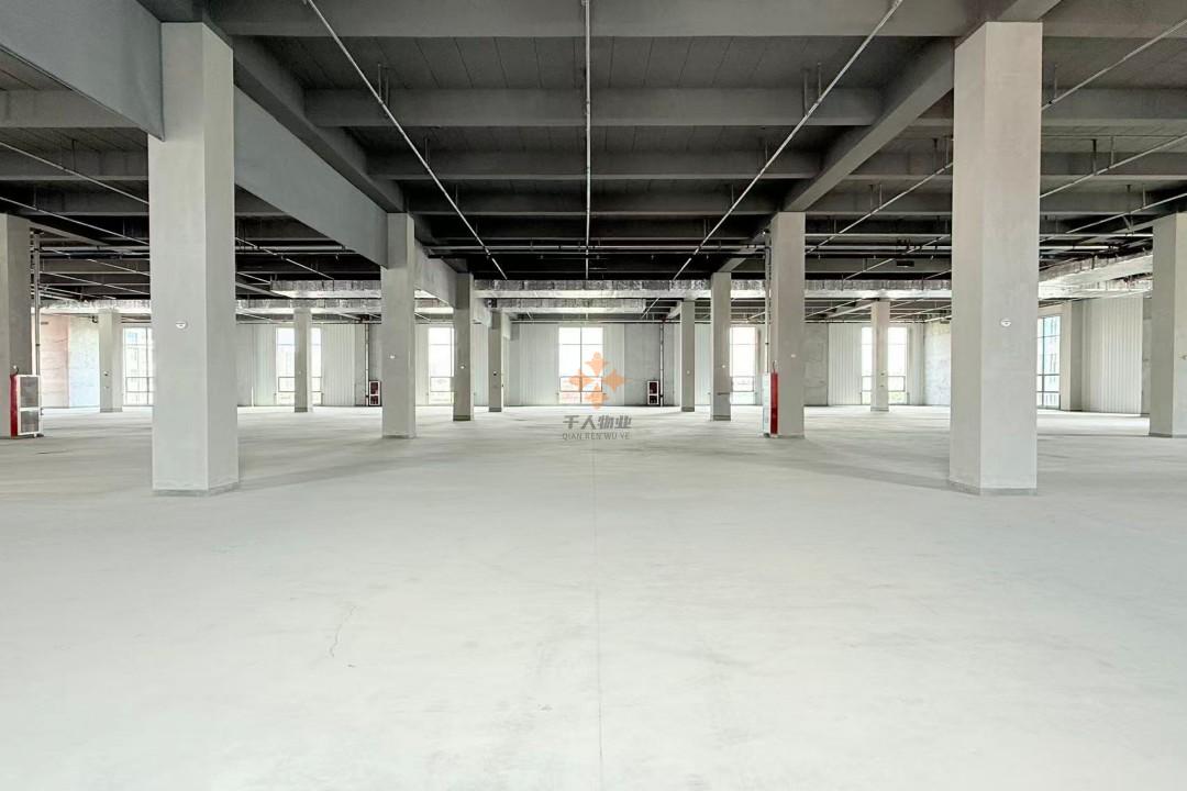 浦東 金光數(shù)創(chuàng)園 3000平米 毛坯