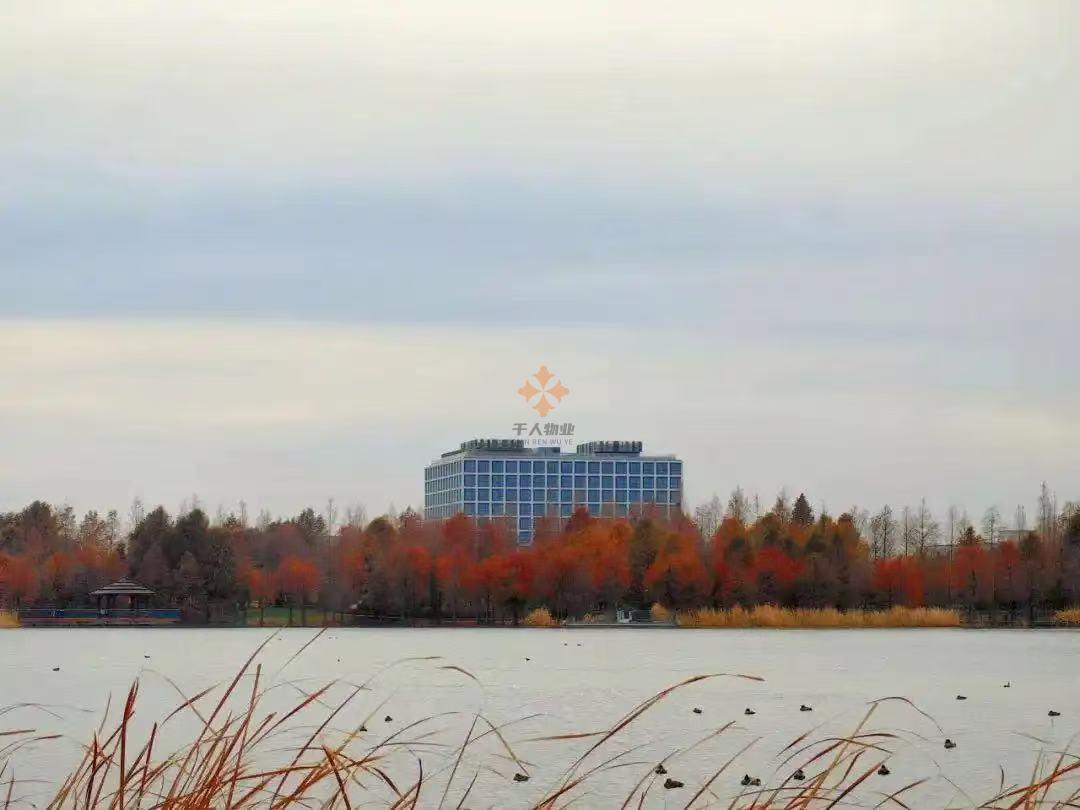 浦東 申迪文化中心 1000平米 標準裝修