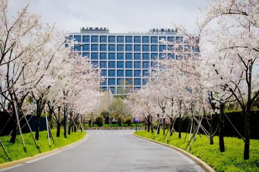 浦東 申迪文化中心 1000平米 標準裝修