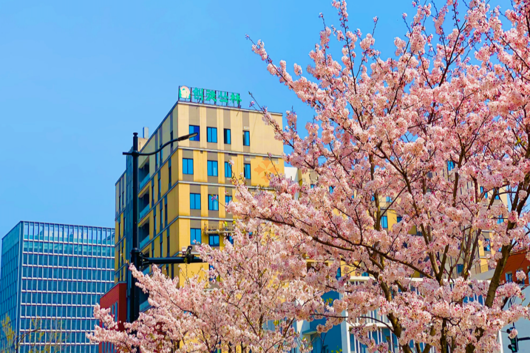 上海凱德騰飛科技樓-關于我們