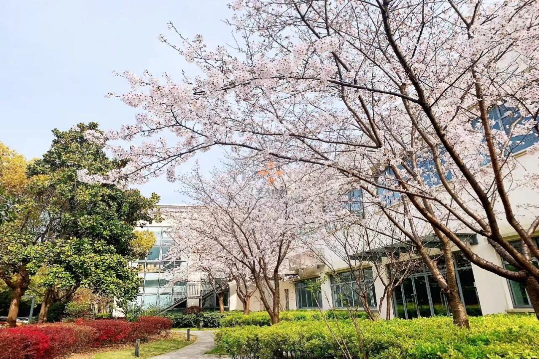 微信圖片_20220604111852.jpg 微信圖片_20220604111852.jpg