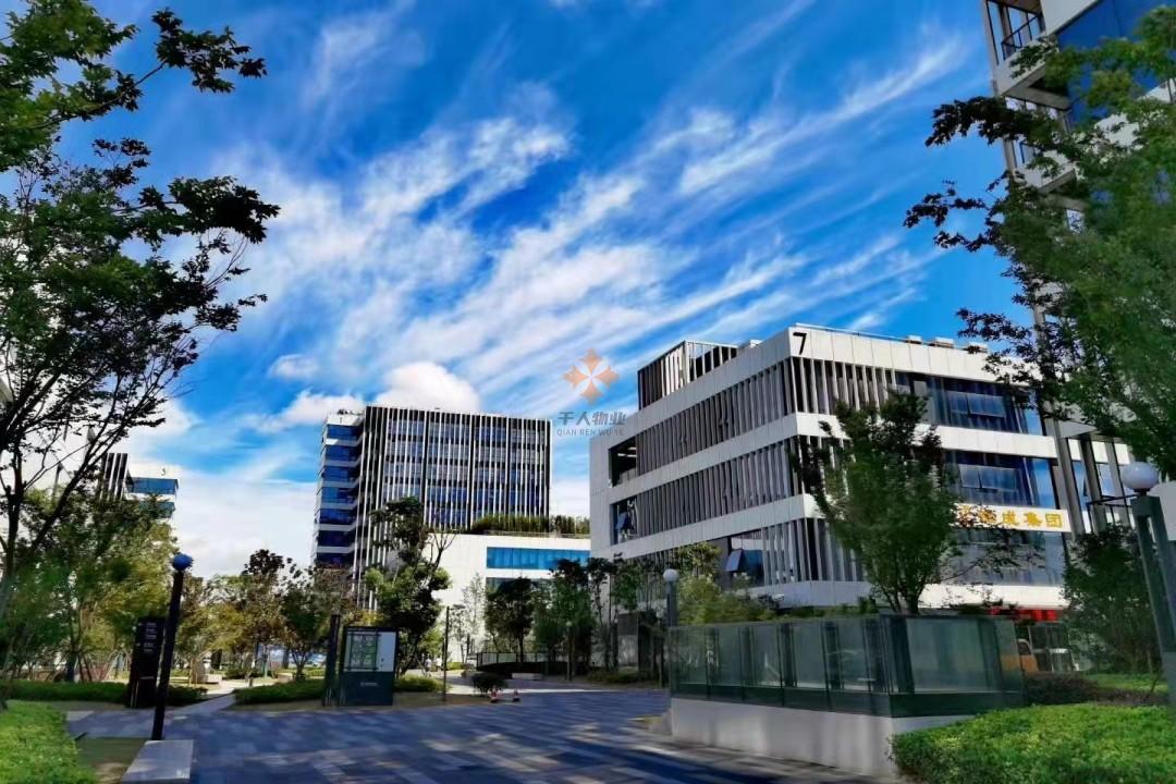 浦東軟件園三林園-關于我們